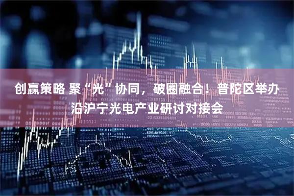 创赢策略 聚“光”协同，破圈融合！普陀区举办沿沪宁光电产业研讨对接会