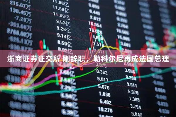 浙商证券证交所 刚辞职，勒科尔尼再成法国总理