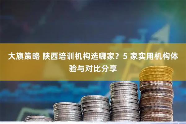 大旗策略 陕西培训机构选哪家？5 家实用机构体验与对比分享