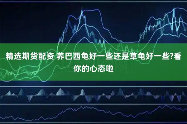 精选期货配资 养巴西龟好一些还是草龟好一些?看你的心态啦