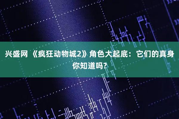 兴盛网 《疯狂动物城2》角色大起底：它们的真身你知道吗?