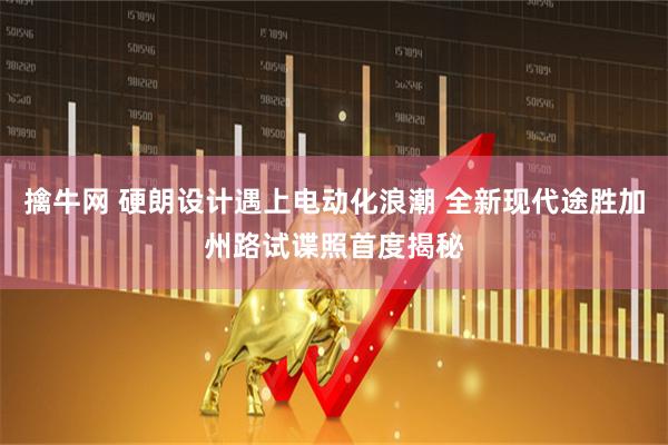 擒牛网 硬朗设计遇上电动化浪潮 全新现代途胜加州路试谍照首度揭秘