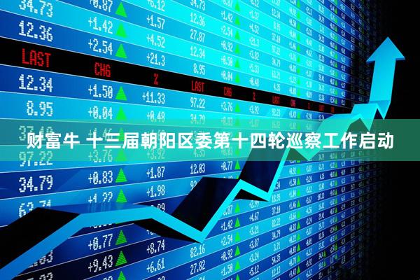 财富牛 十三届朝阳区委第十四轮巡察工作启动
