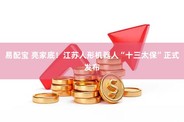 易配宝 亮家底！江苏人形机器人“十三太保”正式发布